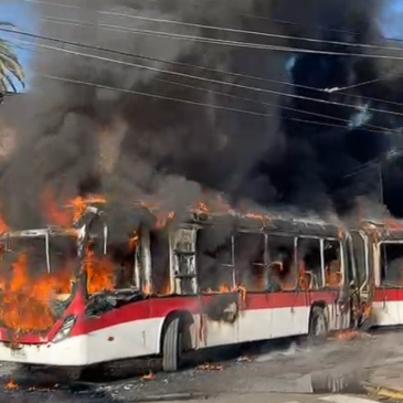 Educación y Violencia