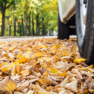 Ruta de Comunicación y Aprendizaje – Incendios